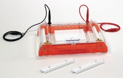 Picture of Gel electrophoresis tanks, horizontal GH303