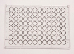 Bild von 96 Well Microplates Microtiter&trade;