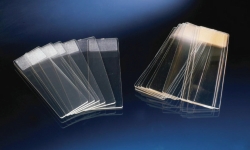 Picture of Microscope Slides, TC, sterile