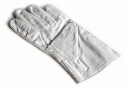 Picture of Gloves for test weights