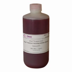 Picture of Staining Solution Ponceau S