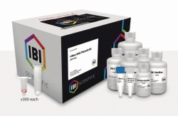 Picture of Plasmid Purification-Kits I-Blue Mini / Midi