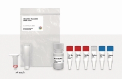 Picture of Plasmid Purification-Kits I-Blue Mini / Midi