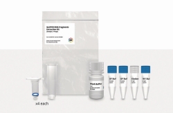 Picture of Gel/PCR DNA Fragment Extraction Kit