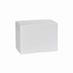 Picture of Standard Insulated box, Styrofoam