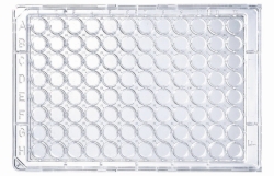 Obraz 96 well UV Microplates