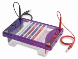 Bild von Accessories for Gel Electrophoresis Tank MultiSUB Choice