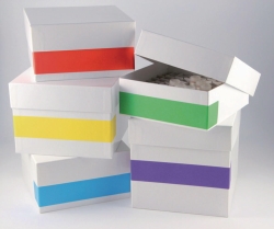 Picture of Cryo labels Rainbow
