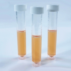 Picture of Tube tests for anaerobes Lovibond&reg; Dipslides