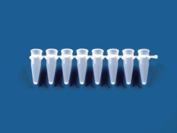 Picture of PCR tubes strips of 8, PP, without caps