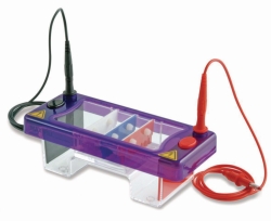 Obraz Accessories for Gel Electrophoresis Tank MultiSUB Mini