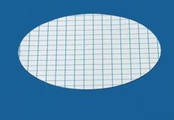 Obraz Membrane filters type 138, cellulose nitrate