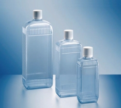 Obraz Square bottles without closure, PVC, series 310