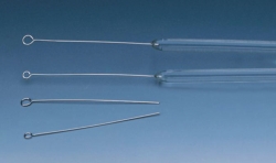 Picture of Inoculation loops, platinum-iridium, fused into glass rod