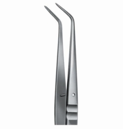 Obraz Laboratory forceps