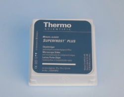 Picture of Adhesive microscope slides Superfrost&reg; Plus