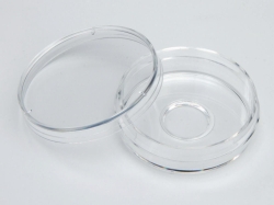 Picture of Glass-bottomed trays, Nunc &trade;, borosilicate