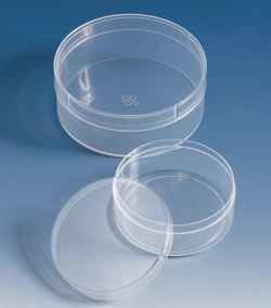 Afbeelding Containers, PP, with lids