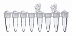 Picture of LLG-PCR-Tubes, 8 Strips with attached individual caps, PP