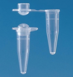 Obraz Single PCR tubes with attached caps, PP