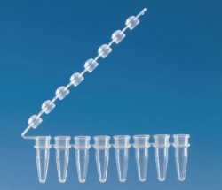 Picture of PCR tubes strips of 8, PP, with attached cap strips