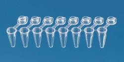 Picture of PCR tubes strips of 8, PP, with attached single caps, 3 ridges