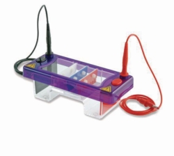 Picture of Gel electrophoresis tank MultiSUB Mini