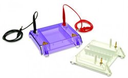 Bild von Accessories for Gel Electrophoresis Tank MultiSUB MiniRapide