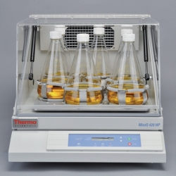 Picture of Benchtop Incubated Shaker MaxQ 420 HP