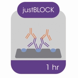 Picture of Blocking solution for Western blot