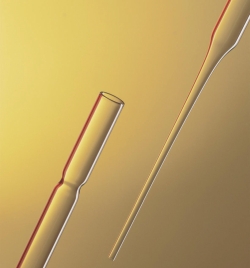 Picture of Pasteur pipettes, soda glass