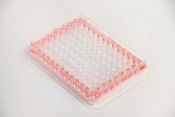 Picture of 96-well plate Nunc&trade; Edge 2.0, with flat bottom, PS, with hydrophilic surface Nunclon&trade; D