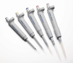 Picture of Single channel microlitre pipettes Eppendorf Reference<sup>&reg;</sup> 2 (General Lab Product), fix