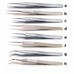 Picture of High precision tweezers for biology