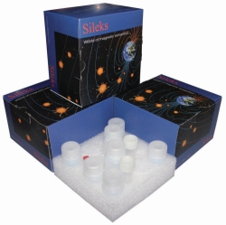 Obraz Isolation kits DNA/RNA, magnetic beads