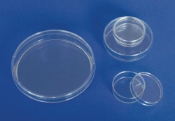 Picture of Petri dishes, PS