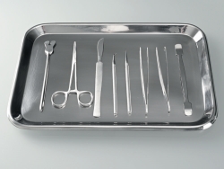 Picture of Trays, stainless steel