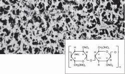 Picture of Membrane filters type 111, cellulose acetate, sterile