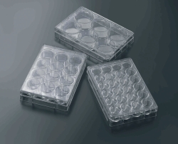 Picture of 3D Cell culture plates CellSCAFLD<sup>&reg;</sup>, treated, PS, sterile