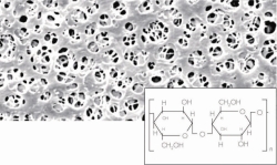 Picture of Membrane filters, regenerated cellulose