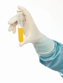 Picture of Cleanroom Gloves, BioClean BIOTAC, Nitrile