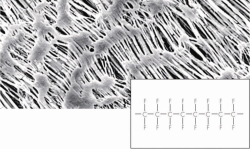 Picture of Membranfilter, hydrophob, PTFE