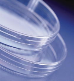 Picture of Petri Dishes Sterilin&trade;, &Oslash; 90 mm, PS