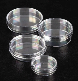 Picture of Petri Dishes Sterilin&trade;, PS