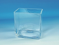 Bild von Aquaria, clear glass