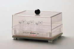 Immagine Cell storage container, K&uuml;vibox 2