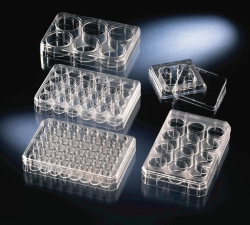 Picture of Multidishes, non-treated, PS, sterile