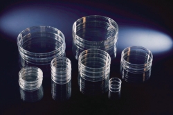 Picture of Petri Dishes, PS