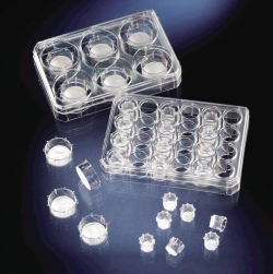 Picture of Cell Culture Inserts and Carrier Plates, PC, sterile