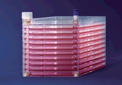 Picture of Cell Factories EasyFill&trade; mit Nunclon&trade;&Delta; Surface, PS, sterile